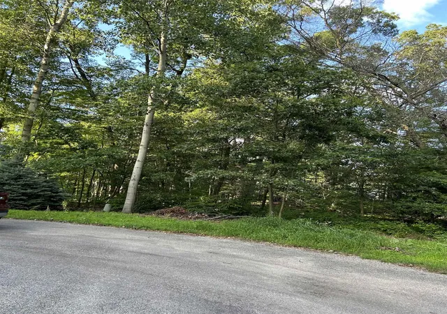 Photo 2 of Land for sale at 0 Whitetail Ct, Churchill Township Ogemaw, MI 48661 | MLS# 77080069907 | Listing updated on 2026-06-21