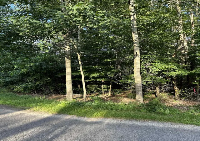 Photo 3 of Land for sale at 0 Whitetail Ct, Churchill Township Ogemaw, MI 48661 | MLS# 77080069907 | Listing updated on 2026-06-21