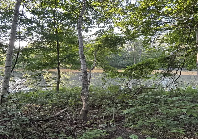 Photo 3 of Land for sale at 0 Whitetail Ct, Churchill Township Ogemaw, MI 48661 | MLS# 77080069907 | Listing updated on 2026-06-21