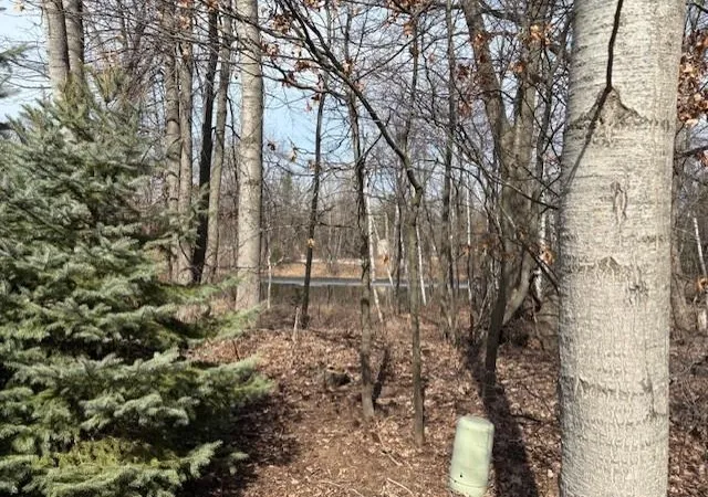 Photo 4 of Land for sale at 0 Whitetail Ct, Churchill Township Ogemaw, MI 48661 | MLS# 77080069907 | Listing updated on 2026-06-21