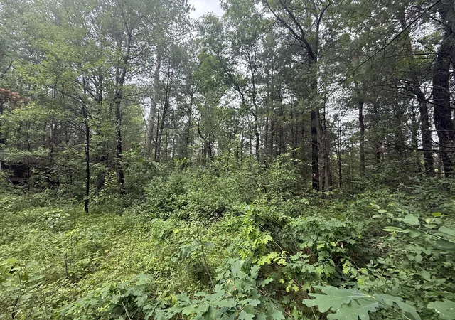 5th image of 1578 Chestwood, Idlewild, MI 49642 | MLS# 72026030409