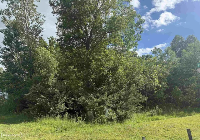 Photo 1 of Land for sale at Vl Lot 53 Willow Trl, Grand Blanc, MI 48439 | MLS# 5050211986 | Listing updated on 2026-06-19