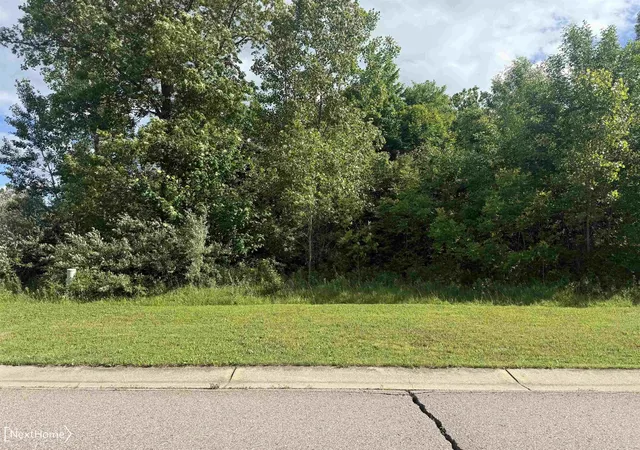 Photo 2 of Land for sale at Vl Lot 53 Willow Trl, Grand Blanc, MI 48439 | MLS# 5050211986 | Listing updated on 2026-06-19