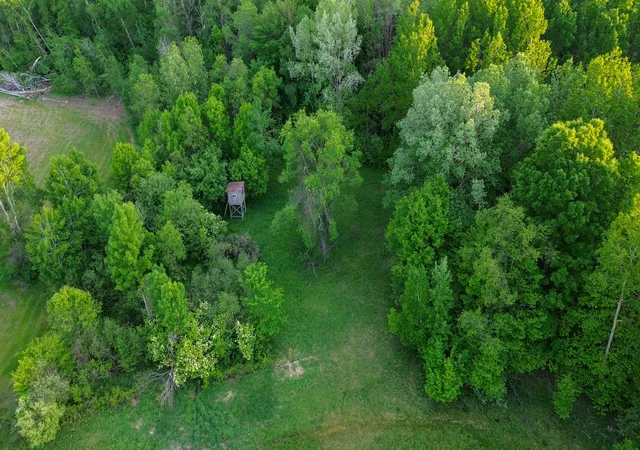 49th image of 3091 E Sage Lake, Lupton, MI 48635 | MLS# 68026030498