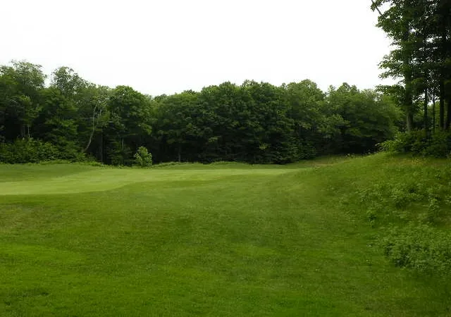 5th image of 71 Broadwinged Wy, Bellaire, MI 49615 | MLS# 78080069948