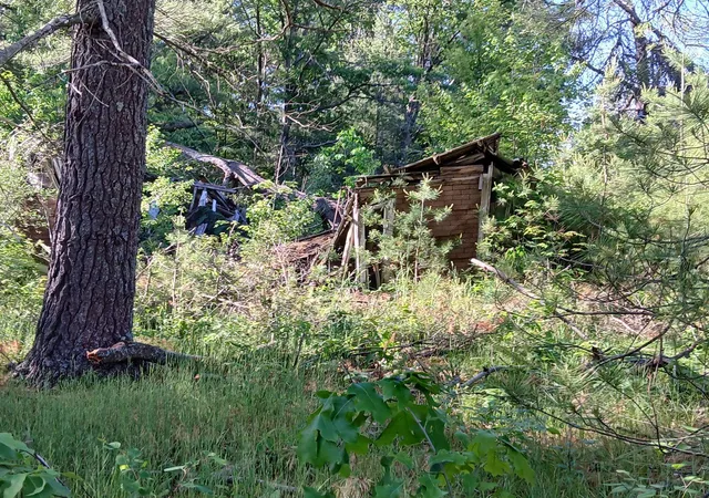 3rd image of 2486 Retelle Ln, West Branch, MI 48661 | MLS# 77080069970
