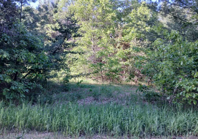 5th image of 2486 Retelle Ln, West Branch, MI 48661 | MLS# 77080069970