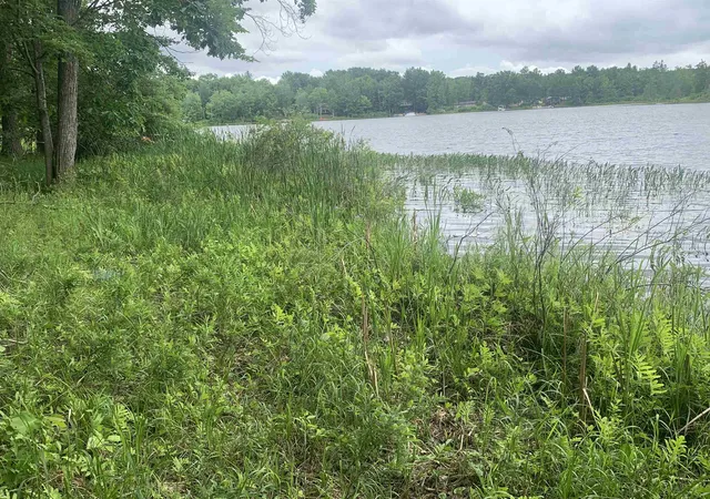 1st image of 00 Wildwood Ct, Evart, MI 49631 | MLS# 78080069977