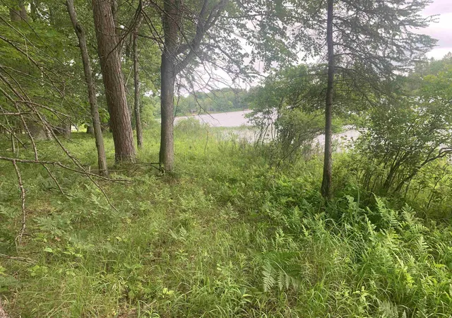 2nd image of 00 Wildwood Ct, Evart, MI 49631 | MLS# 78080069977