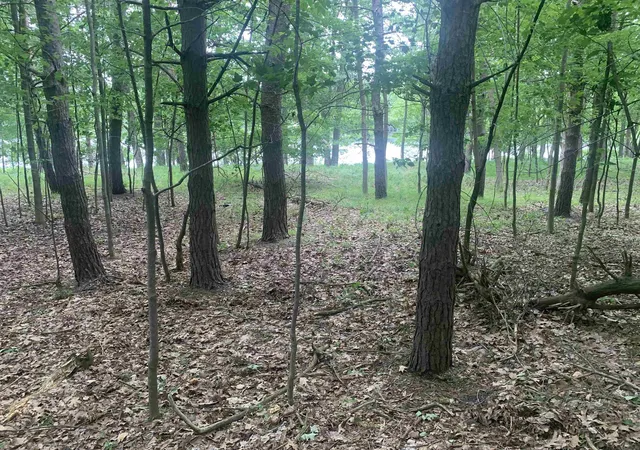 3rd image of 00 Wildwood Ct, Evart, MI 49631 | MLS# 78080069977