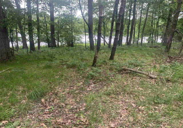 4th image of 00 Wildwood Ct, Evart, MI 49631 | MLS# 78080069977