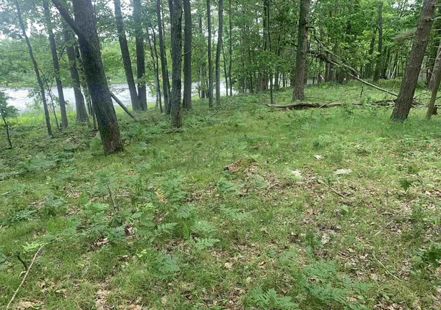 5th image of 00 Wildwood Ct, Evart, MI 49631 | MLS# 78080069977