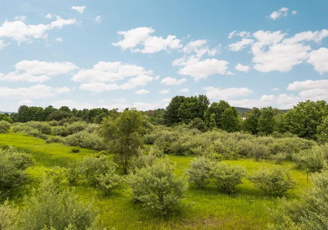 Photo 4 of Land for sale at 0 Chartwell Dr, Traverse City, MI 49696 | MLS# 78080069984 | Listing updated on 2026-06-22