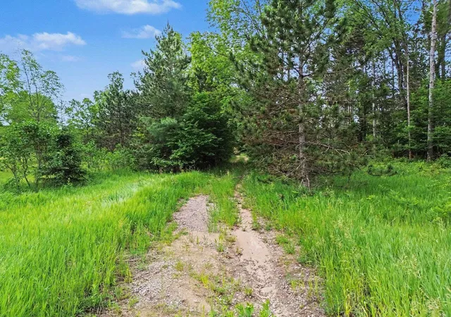 Homes for sale in Wexford Township Wexford, MI | 0 W 12 1/2 Rd, Wexford Township Wexford, MI 49668 | MLS# 78080069992