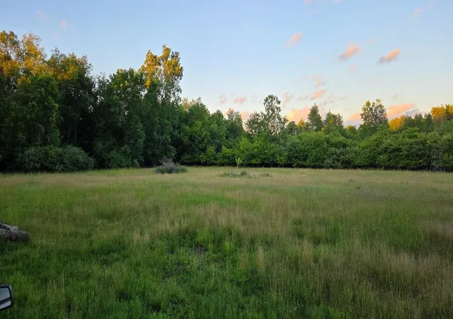4th image of 0 Crosby Rd, Flint, MI 48506 | MLS# 5050212129