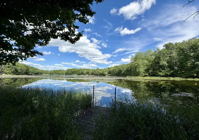 2nd image of 6922 W Twin Lake Dr, Irons, MI 49644 | MLS# 67026030766