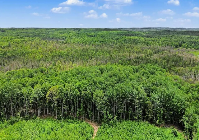 Homes for sale in Coldsprings Township Kalkaska, MI | V/l Third Rd, Coldsprings Township Kalkaska, MI 49646 | MLS# 78080070004