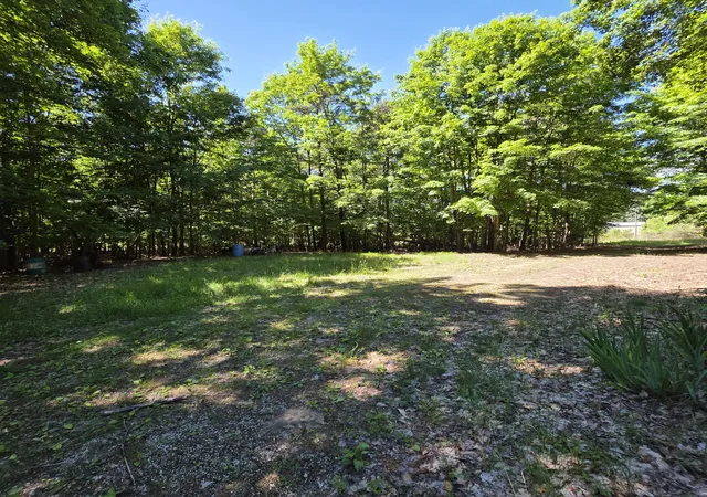 Homes for sale in Weare Township Oceana, MI | 9049 N 80th Ave, Weare Township Oceana, MI 49449 | MLS# 67026030831