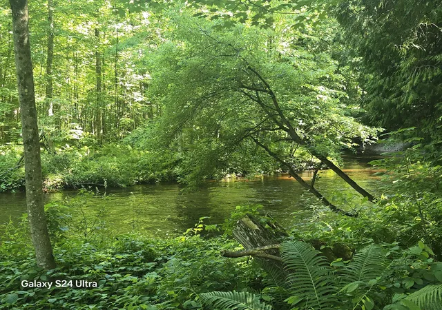 19th image of 7455 Mcclellan Rd, Kaleva, MI 49645 | MLS# 67026031052