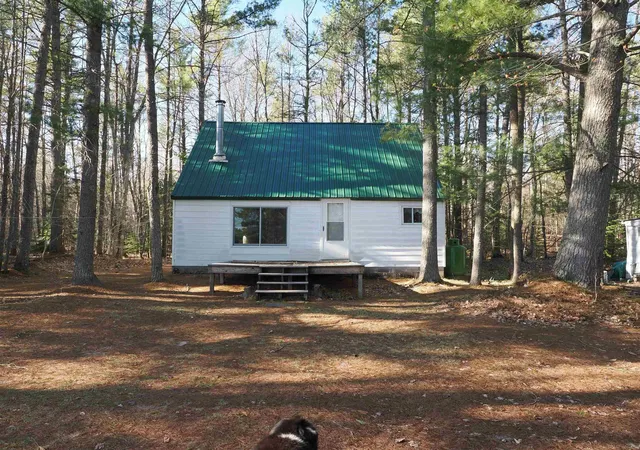1st image of 6035 W Sadlers Loop, Seney, MI 49883 | MLS# 58050212329