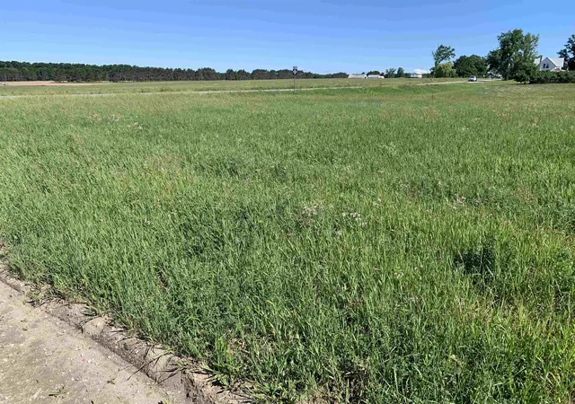 Photo 2 of Land for sale at M 37, Mayfield Township Grand Traverse, MI 49620 | MLS# 78080070061 | Listing updated on 2026-08-12