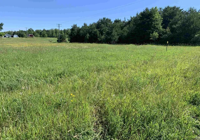 Photo 3 of Land for sale at M 37, Mayfield Township Grand Traverse, MI 49620 | MLS# 78080070061 | Listing updated on 2026-08-12