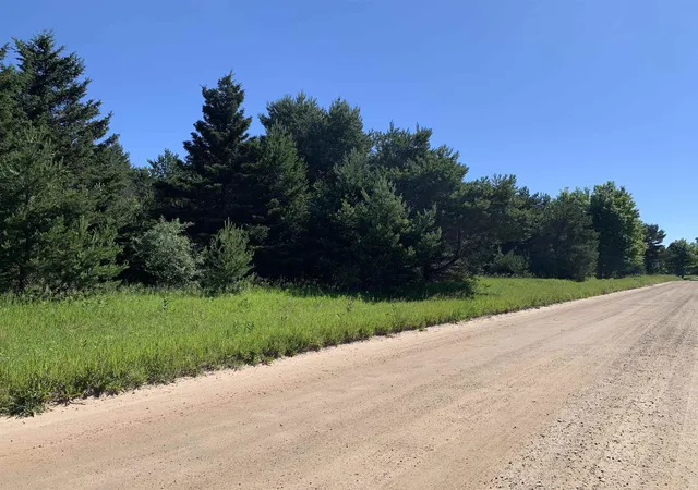 Photo 3 of Land for sale at M 37, Mayfield Township Grand Traverse, MI 49620 | MLS# 78080070061 | Listing updated on 2026-08-12
