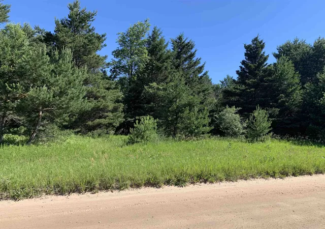 Photo 4 of Land for sale at M 37, Mayfield Township Grand Traverse, MI 49620 | MLS# 78080070061 | Listing updated on 2026-08-12