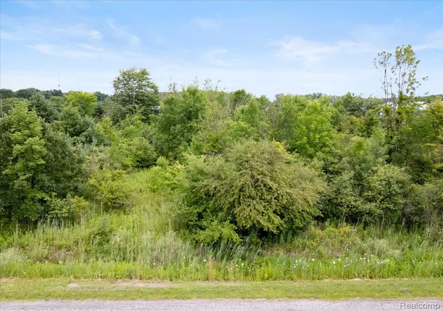 Photo 3 of Land for sale at 0000 Yeager, Port Huron, MI 48060 | MLS# 20261047475 | Listing updated on 2026-07-21