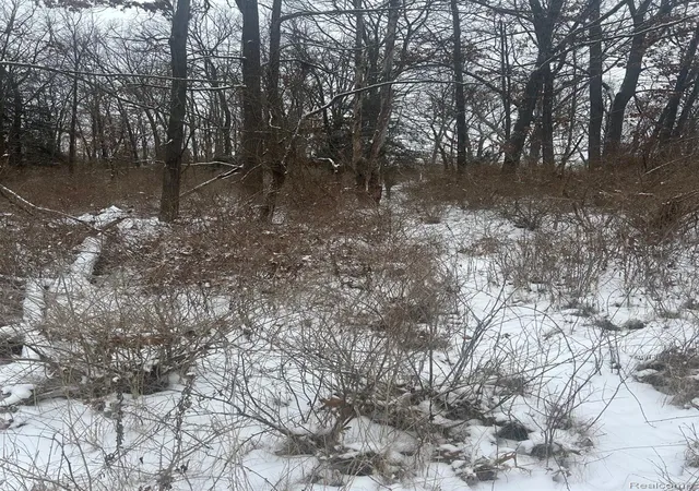 Photo 1 of Land for sale at 12840 Larkins Rd, Brighton, MI 48114 | MLS# 20261047553 | Listing updated on 2026-09-10
