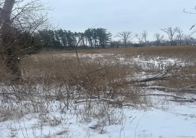 Photo 2 of Land for sale at 12840 Larkins Rd, Brighton, MI 48114 | MLS# 20261047553 | Listing updated on 2026-09-10