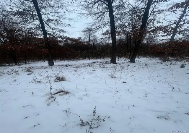 Photo 3 of Land for sale at 12840 Larkins Rd, Brighton, MI 48114 | MLS# 20261047553 | Listing updated on 2026-09-10