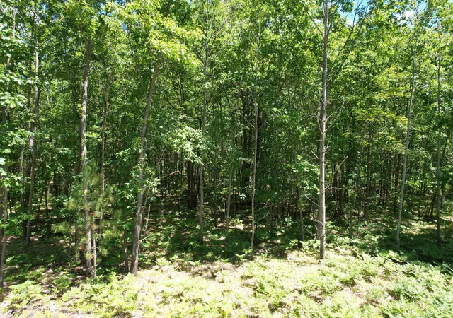 Photo 1 of Land for sale at 2966 W Houghton Lake Rd, Lake City, MI 49651 | MLS# 78080070098 | Listing updated on 2026-08-20