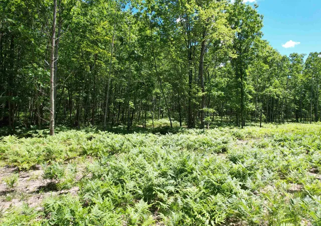 Photo 2 of Land for sale at 2966 W Houghton Lake Rd, Lake City, MI 49651 | MLS# 78080070098 | Listing updated on 2026-08-20