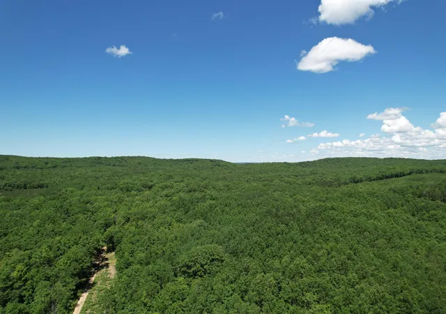 Photo 3 of Land for sale at 2966 W Houghton Lake Rd, Lake City, MI 49651 | MLS# 78080070098 | Listing updated on 2026-08-20