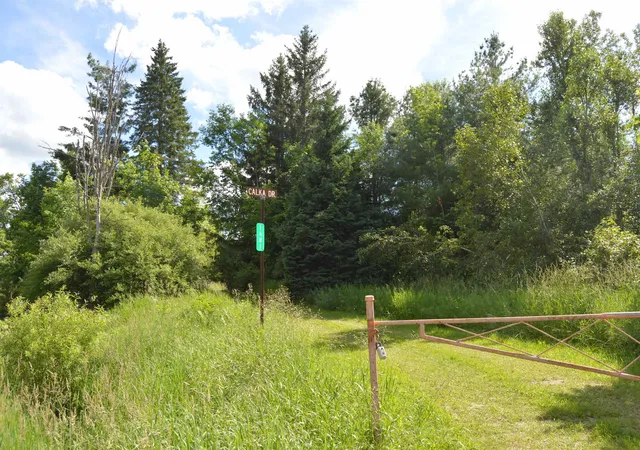 Photo 3 of Single family home for sale at 1481 Aspen Aly Rd, Curran, MI 48728 | MLS# 77080070118 | Listing updated on 2026-09-05