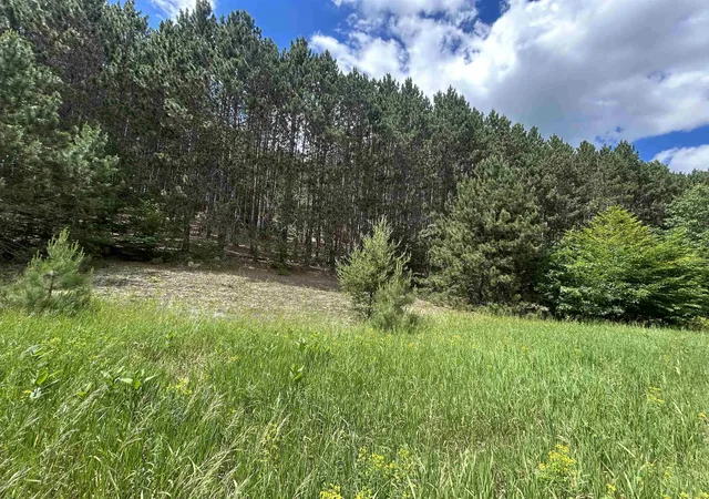 Photo 1 of Land for sale at Parcel 6 Wildwood Trl, Mancelona, MI 49659 | MLS# 78080070119 | Listing updated on 2026-09-23