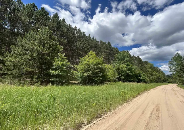 Photo 3 of Land for sale at Parcel 6 Wildwood Trl, Mancelona, MI 49659 | MLS# 78080070119 | Listing updated on 2026-09-23