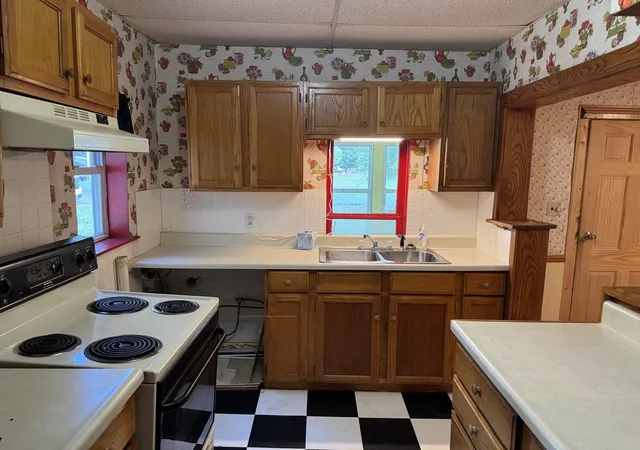 Photo 3 of Single family home for sale at 225 N Hayes St, Farwell, MI 48622 | MLS# 79080070143 | Listing updated on 2026-09-17