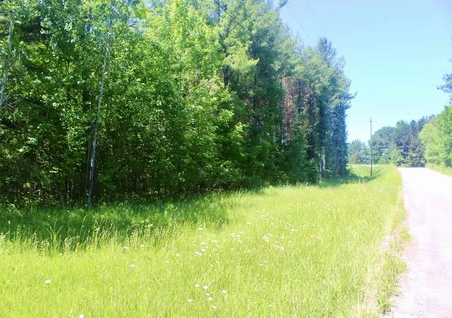 12th image of 00 Stone Circle Dr, Kewadin, MI 49648 | MLS# 78080070147