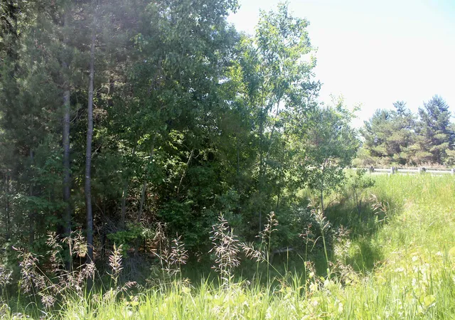 3rd image of 00 Stone Circle Dr, Kewadin, MI 49648 | MLS# 78080070147