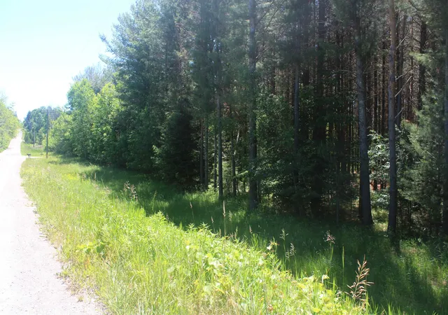 4th image of 00 Stone Circle Dr, Kewadin, MI 49648 | MLS# 78080070147