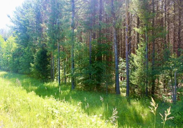 5th image of 00 Stone Circle Dr, Kewadin, MI 49648 | MLS# 78080070147