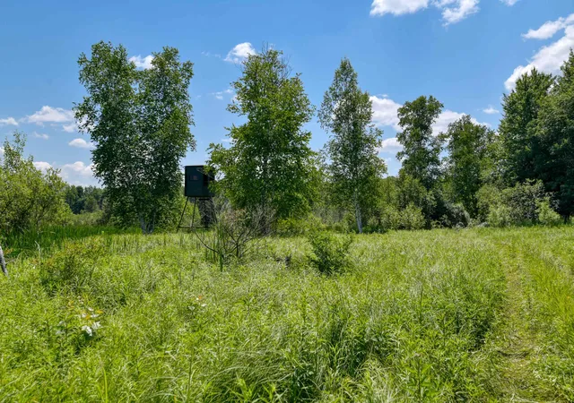 71st image of 3375 Crum Rd, Benzonia, MI 49616 | MLS# 78080070152