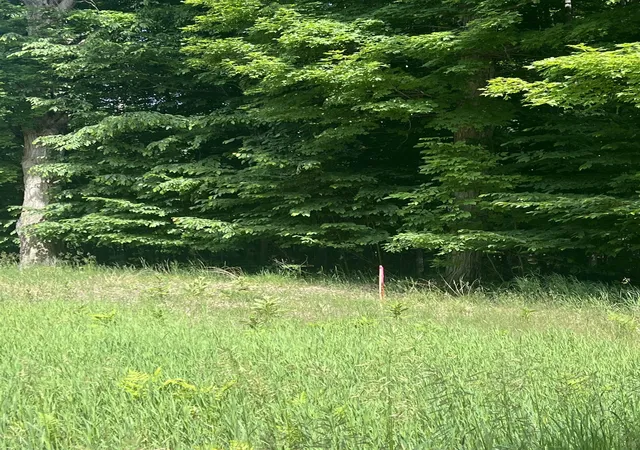 2nd image of Parcel G O'dell Rd, Whitewater Township Grand Traverse, MI 49690 | MLS# 78080070157