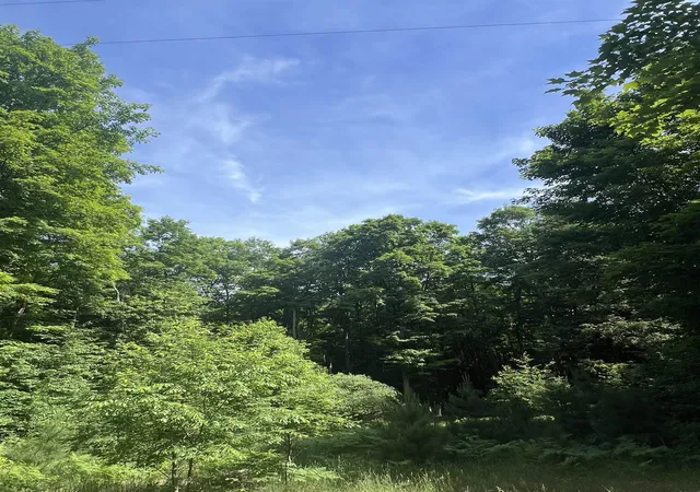 5th image of Parcel G O'Dell Rd, Whitewater Township Grand Traverse, MI 49690 | MLS# 78080070157