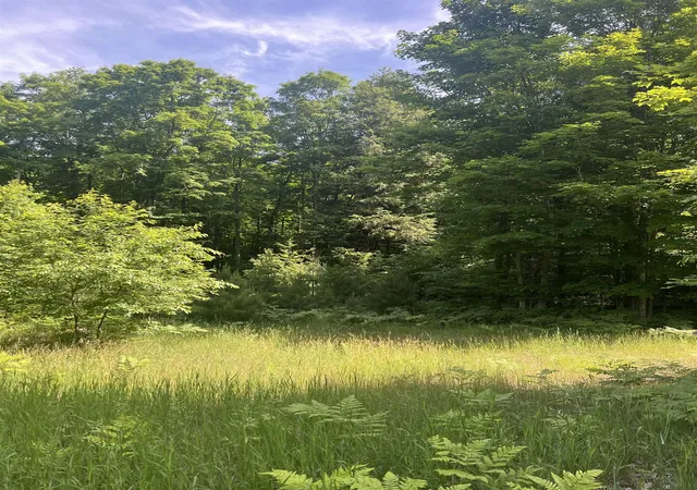 1st image of Parcel H O'dell Rd, Whitewater Township Grand Traverse, MI 49690 | MLS# 78080070158