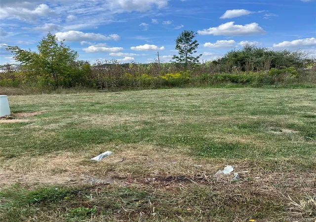 Photo 2 of Land for sale at Vacant Land Grand River Ave, Handy Township Livingston, MI 48836 | MLS# 20261047976 | Listing updated on 2026-07-15