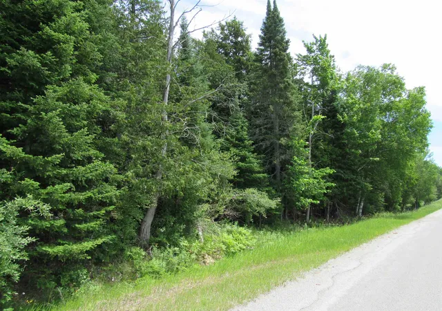 Photo 1 of Land for sale at 0 N Poor Farm Rd, Harrisville, MI 48740 | MLS# 77080070173 | Listing updated on 2026-08-26