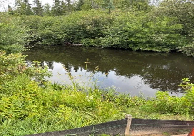 Photo 3 of Land for sale at 0 N Poor Farm Rd, Harrisville, MI 48740 | MLS# 77080070173 | Listing updated on 2026-08-26